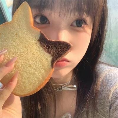 你是猪